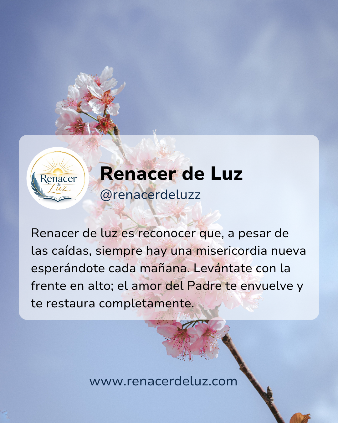 reflexiones renacer de luz